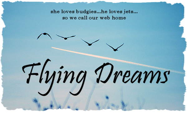 Flying Dreams Header